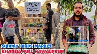 Khanna Pull Rawalpindi Sunday Birds market || All birds market || Best price of lovebirds & Exotics.