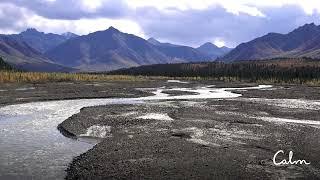 Calm | Denali National Park Soundscape | Nature Sounds for Relaxation, Work & Sleep