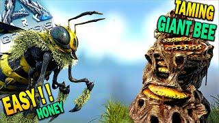 Ark EASY Honey Farm + Instant Giant Bee Tame !! How To Tame Giant Bee Ark Survival Evolved
