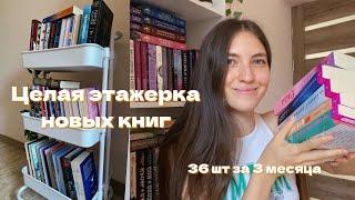 Книжные покупки | 36 новых книг | от классики до романов