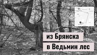  Ведьмин лес в Синезёрках: разносим в пух гнусный фейк про место силы