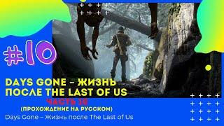 Посетить памятный камень Сары ▶ Days Gone – Жизнь после   Часть 10 (Прохождение на Русском)