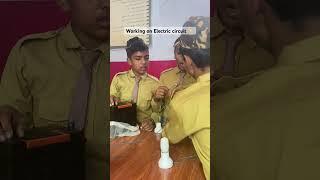 Science Practical ️ #alfalah #science #project #practical #electriccircuits