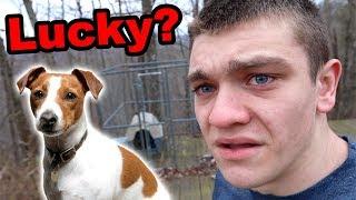 Where is Lucky? (The REAL Story)