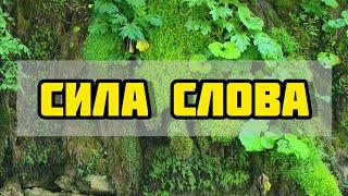 Слово. Сила слова. Энергия слова