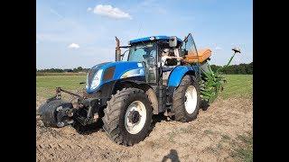 Siew Rzepaku 2019New Holland t6050㋡Amazone AD-P Super