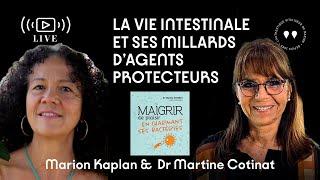 DIRECT YOUTUBE : La vie intestinale et ses millards d'agents protecteurs