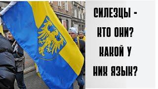 Как чуть было не возник еще один славянский язык под желто-синим знаменем