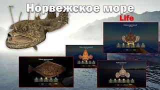 Норвежское море • Первый взгляд на море • life