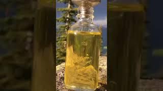 oil best tree oil tree hamdard official creation