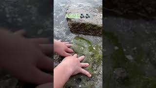 Slime Nature ASMR 