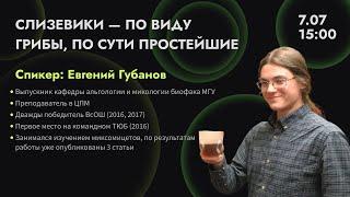 Слизевики - по виду грибы, по сути простейшие | Евгений Губанов