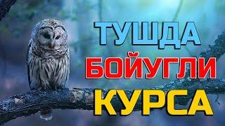 Тушда Бойугли курса - Tushda Boyo'g'li ko'rsa