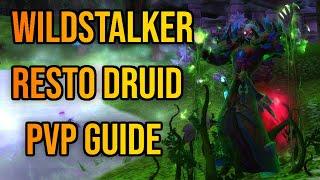 Resto Druid PvP Guide for Wildstalker