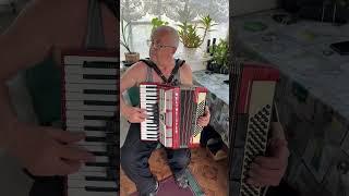 Weltmeister Amigo accordion, 80 Bass, 3 voice, 5+3 registers, Germany accordion, 3/4 accordion, SALE