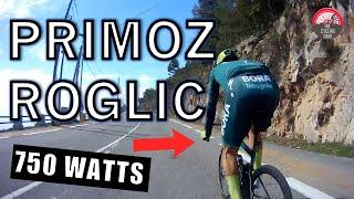 Primož Roglič VS AMATEUR CYCLIST - CLIMBING SESSION (WITH POWER DATA)