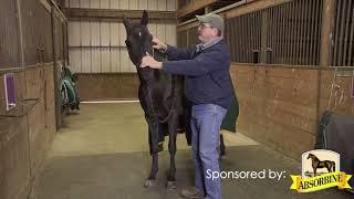 The Masterson Method:  Lateral Cervical Flexion