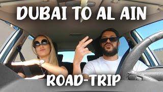 Road trip to Al Ain (UAE's "Garden City")