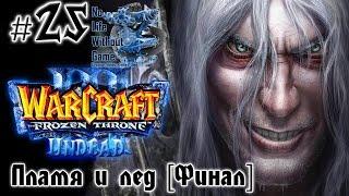 Warcraft III:The Frozen Throne[#25] - Пламя и лед [Финал] (Прохождение на русском(Без комментариев))