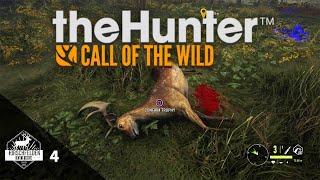 SEARCH FOR THE GOLD FALLOW Pt.1 | The Hunter Call of the Wild