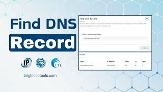 How to Find DNS Records of Any Website: DNS Record Tool