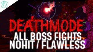 Terraria Calamity DEATHMODE - All Boss Fights NOHIT / FLAWLESS (Calamity 1.2.4.205, No damage taken)