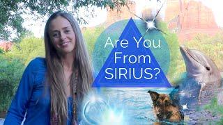 Are You A Sirian Starseed? All About Our Sirius Galactic Family - Bridget Nielsen