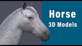 Realistic Horse 3D Models for Download