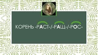 Чередование корней -раст- / -ращ- / -рос-