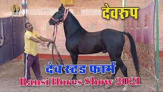 Ransi Horse Show 2021 ll देवरुप भी पहुंचा रणसी सौ मै !! रणसी होर्स शौ 2021