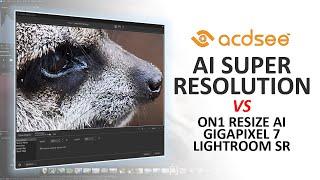 ACDSee Super Resolution Review - ACDSee Upscaler Tested and Compared