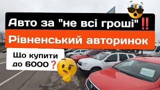 Дешевий сегмент ‼️ Що купити до 6️⃣тис Рівненський авторинок ‼️ Автопідбір #автомобили #автобазар