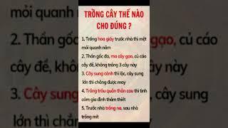 Hạt Giống Tâm Hồn - Những Câu Nói Hay, Giá Trị Nhân Văn, Suy Ngẫm Cuộc Sống #Podcast #bàihọccuộcsống
