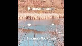 Виталий Лосицкий - Свет и тьма