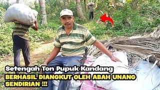 Innalillahi... Pupuk Kandang Abah Aep Sudah Datang Kebunnya Malah Habis Diserang Babi Hutan