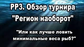 РР3. Турнир "Регион наоборот" или как лучше ловить минималки?