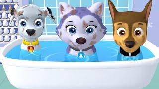 Paw Patrol A Day in Adventure Bay VS Adventure On A Roll - Pups Daily Life  - Fun Pet Kids Games