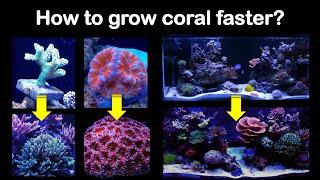 Are your corals not growing fast enough? Let me see if I can help!