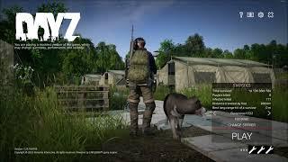 Why DayZ?