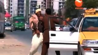 Afghan funny video Noqta-e-josh