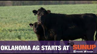 Cow-Calf Corner - Importance of Colostrum (1/2/21)
