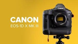 Canon EOS 1D X Mark III im Test: die Profi-DSLR-Kamera | deutsch