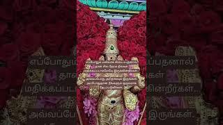 muruga saranam #hindudeity ##youtubeshorts #murugan  shorts 
