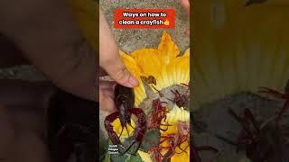 Proper way of cleaning a crayfish#cleaning #crayfish #howto #lifehacks