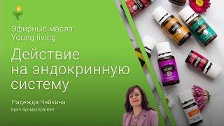 Эфирные масла YOUNG lIVING (Янг Ливинг), действие на эндокринную систему