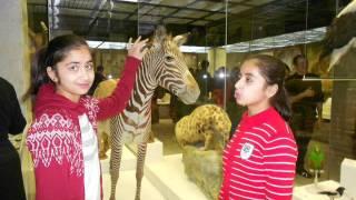 RAJESH SINGH IN MOSCOW 2012 DARWIN MUSEUM VISIT