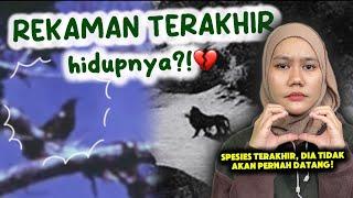 REKAMAN/DOKUMENTASI TERAKHIR HEWAN YANG UDAH PUNAH?!! || diluarlaut