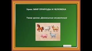 Урок: МИР ПРИРОДЫ И ЧЕЛОВЕКА. Тема: ДОМАШНИЕ ЖИВОТНЫЕ.