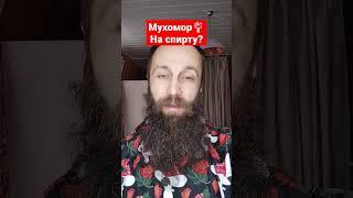 Настойка мухомора на спирту, зачем она нужна.? #мухомор #микродозинг