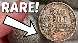 MY BIGGEST PENNY ROLL HUNT YET! | COIN ROLL HUNTING PENNIES